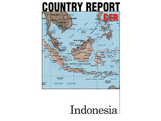 Country Report indonesia - Cer 30